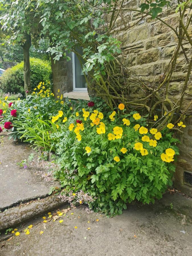 Mayfield Cottage Burtree Ford Exterior foto