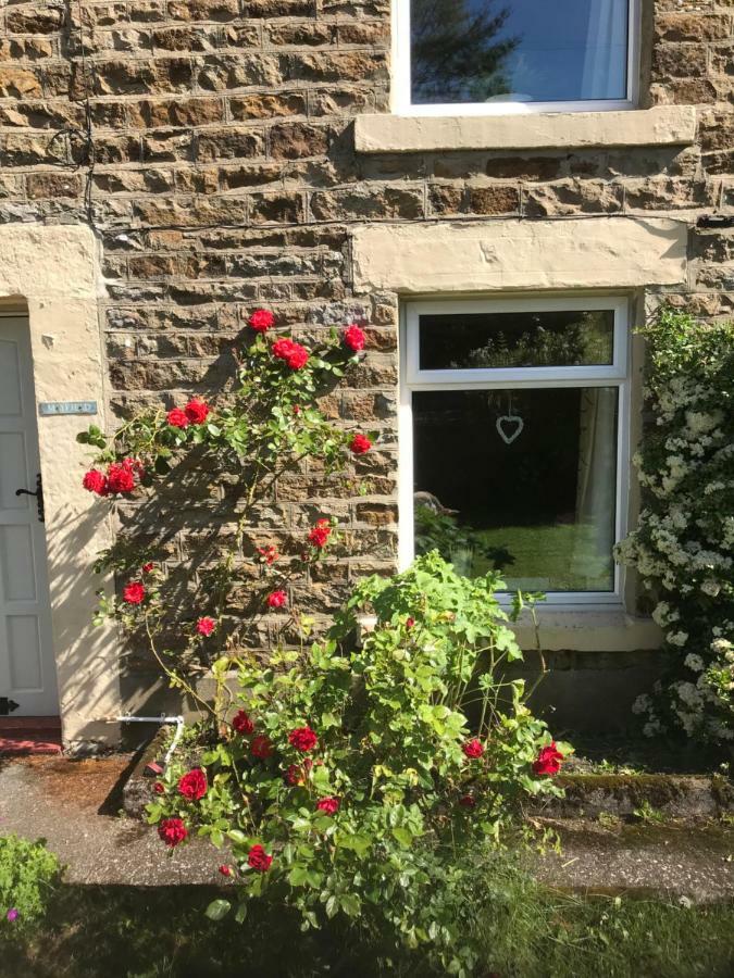 Mayfield Cottage Burtree Ford Exterior foto
